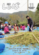 11月号