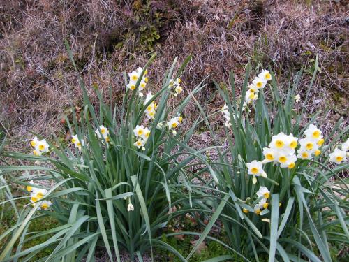 20160113-dscf3332.jpg 20160113-dscf3332.jpg