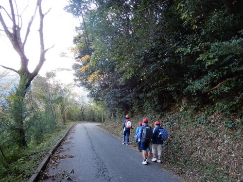 20171101-025.jpg 20171101-025.jpg