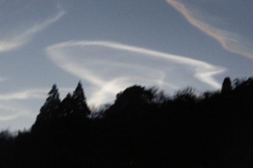 20180305-dscf5570.jpg 20180305-dscf5570.jpg