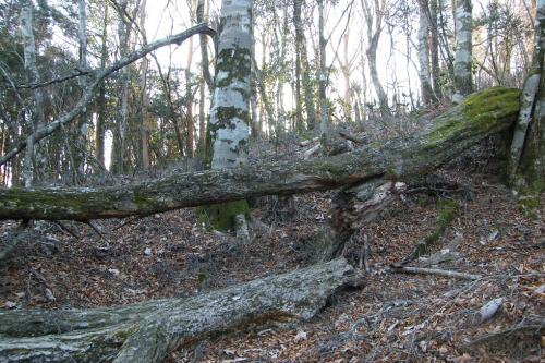 20180311-dscf5632.jpg 20180311-dscf5632.jpg