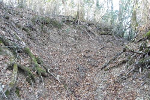 20180311-dscf5635.jpg 20180311-dscf5635.jpg