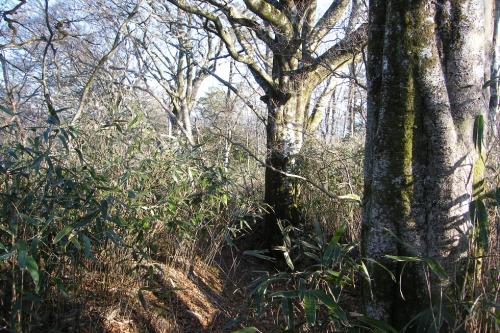 20180311-dscf5640.jpg 20180311-dscf5640.jpg