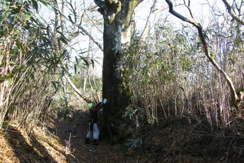 20180311-dscf5650.jpg 20180311-dscf5650.jpg
