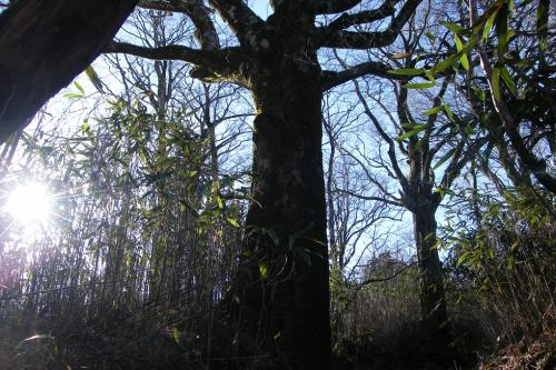 20180311-dscf5652.jpg 20180311-dscf5652.jpg