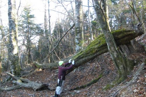 20180311-dscf5654.jpg 20180311-dscf5654.jpg