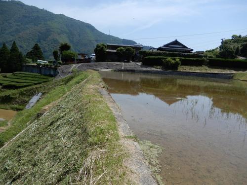 椎葉山仙人