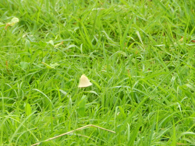 20140806-dscn8345.jpg 20140806-dscn8345.jpg
