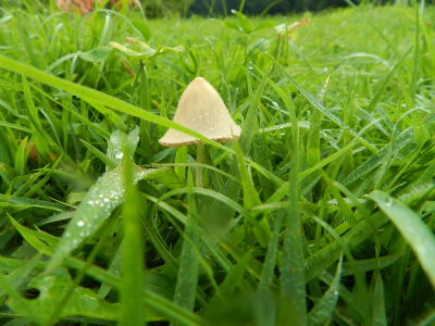 20140806-dscn8348.jpg 20140806-dscn8348.jpg