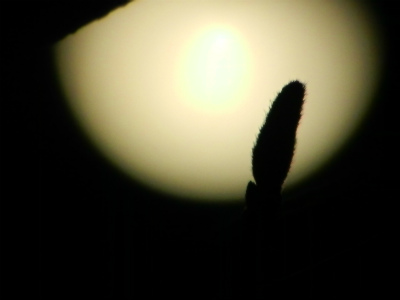 20150110-dscn0838.jpg 20150110-dscn0838.jpg